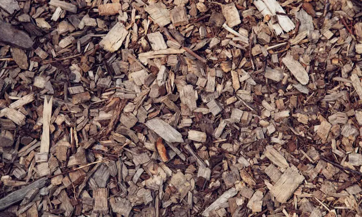 How to Use Wood Chips